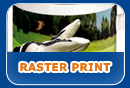 Raster Print