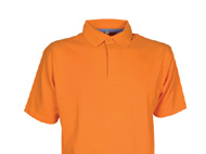 Polo bicolor