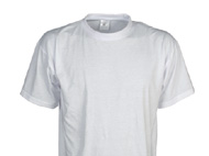 Regular Fit T-Shirt