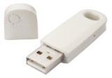 USB-Stick Biodegradable